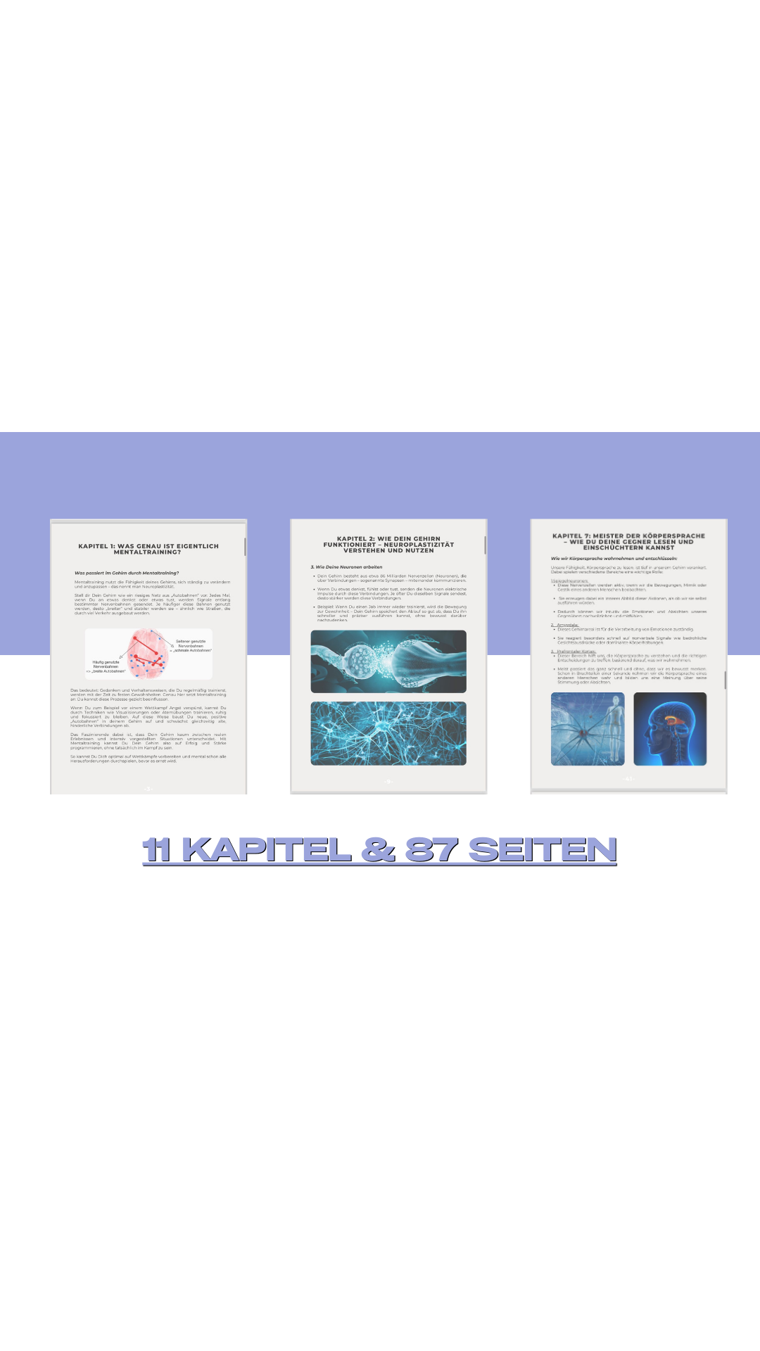 Die Mentale Waffe - Erfolgsstrategien für Kampfsportler