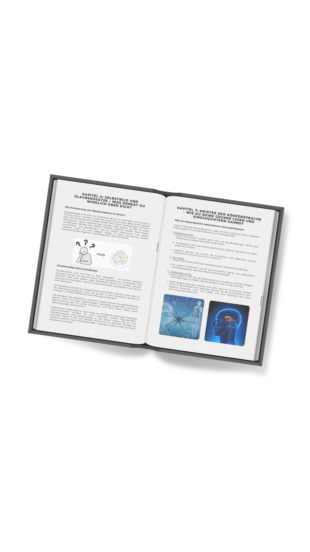 Die Mentale Waffe - Erfolgsstrategien für Kampfsportler